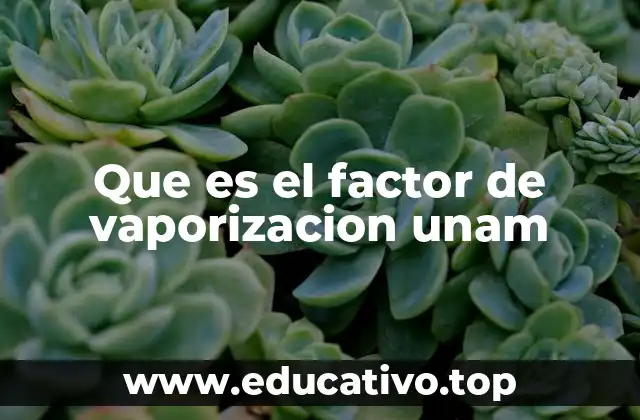 Que es el factor de vaporizacion unam