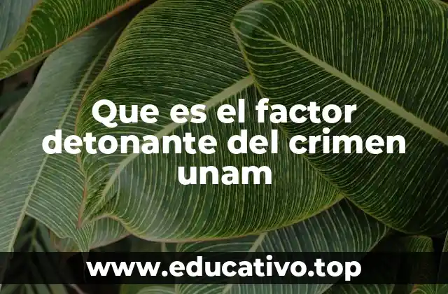 Cómo se manifiesta el factor detonante del crimen en el entorno universitario