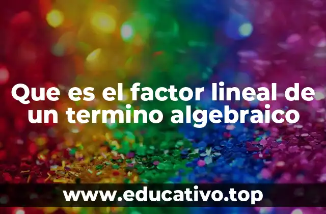 Que es el factor lineal de un termino algebraico