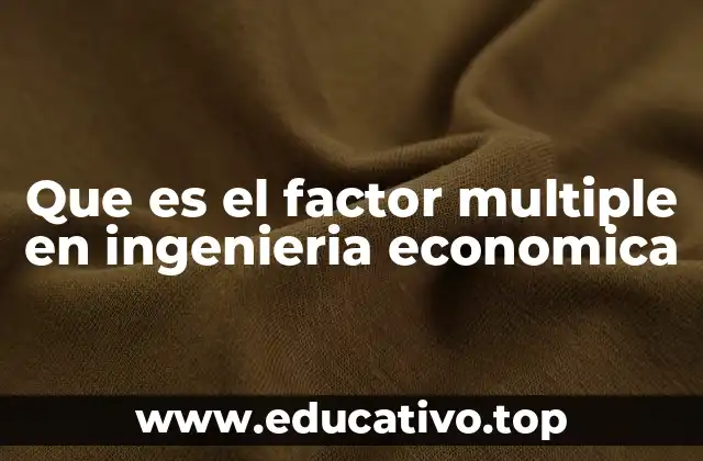 Que es el factor multiple en ingenieria economica