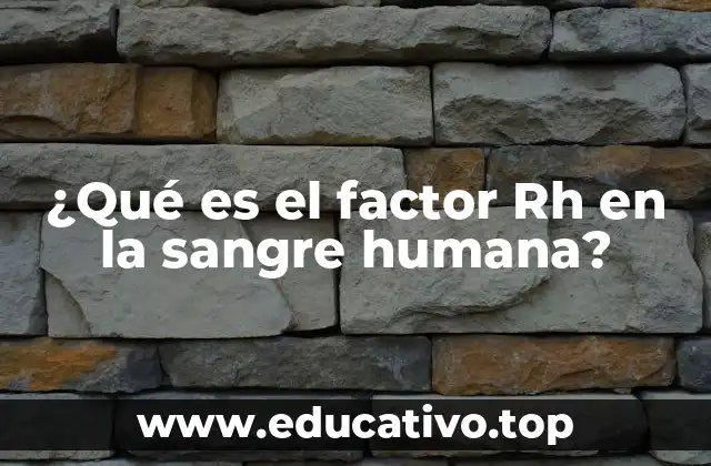 ¿Qué es el factor Rh en la sangre humana?