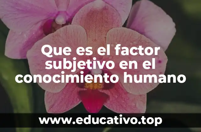 Que es el factor subjetivo en el conocimiento humano