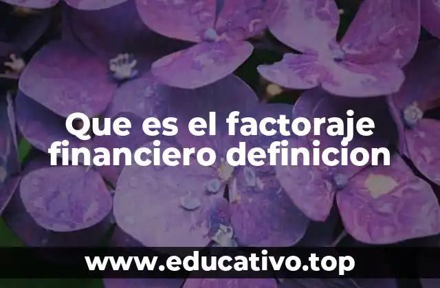 Que es el factoraje financiero definicion