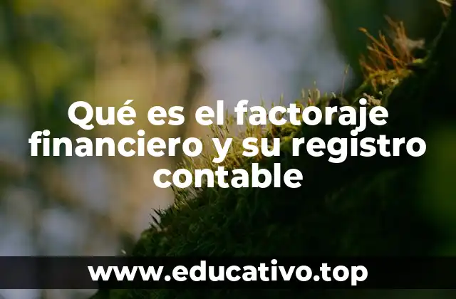 Qué es el factoraje financiero y su registro contable