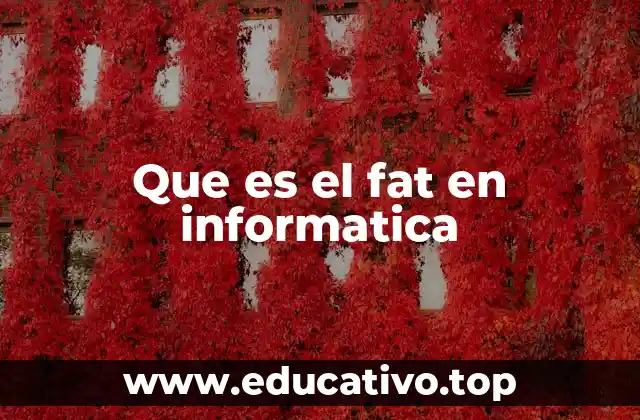 Que es el fat en informatica