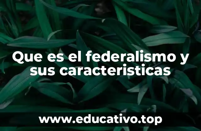Que es el federalismo y sus caracteristicas