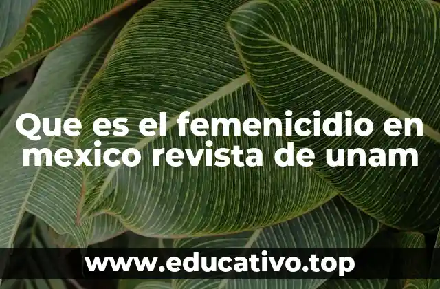 Que es el femenicidio en mexico revista de unam