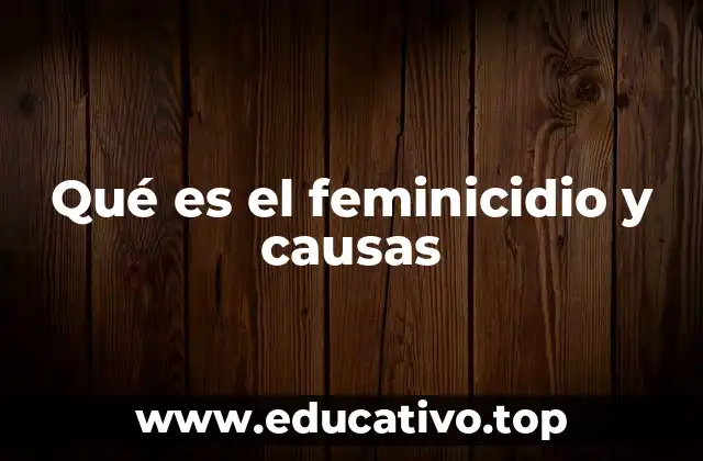 Qué es el feminicidio y causas