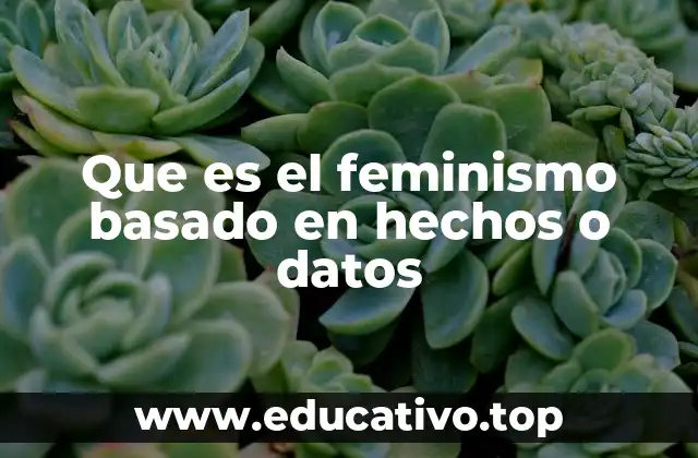 Que es el feminismo basado en hechos o datos
