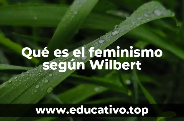 Qué es el feminismo según Wilbert