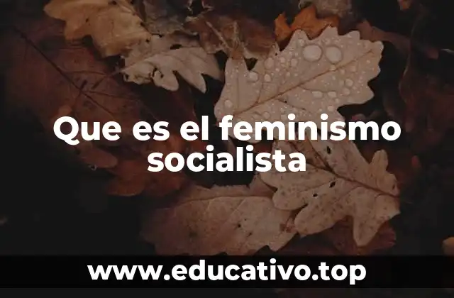 Que es el feminismo socialista