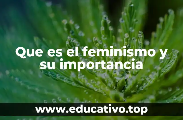 Que es el feminismo y su importancia