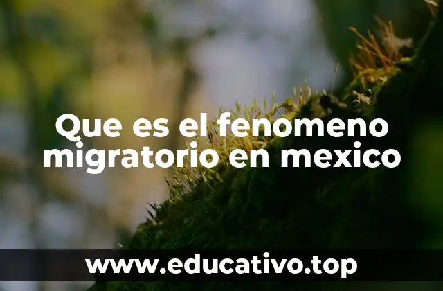 Que es el fenomeno migratorio en mexico