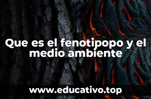 La influencia del entorno en la expresión genética