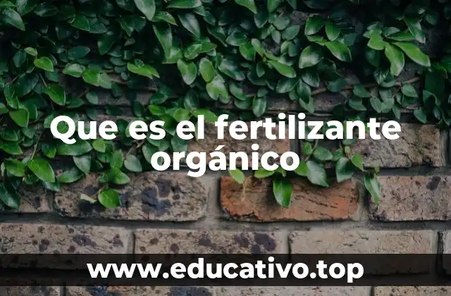 Que es el fertilizante orgánico