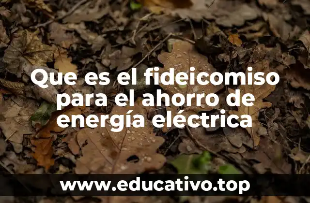 Que es el fideicomiso para el ahorro de energía eléctrica