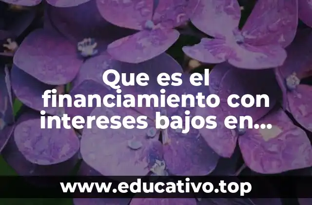Que es el financiamiento con intereses bajos en ventas