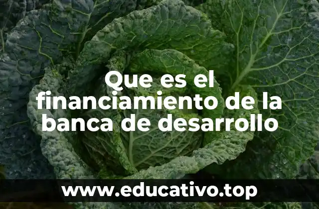 Que es el financiamiento de la banca de desarrollo