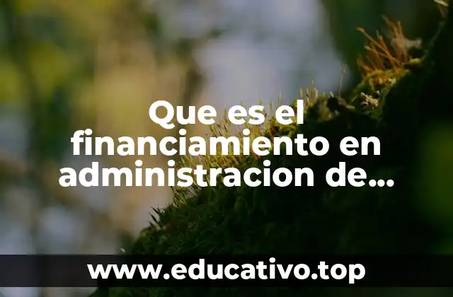 Que es el financiamiento en administracion de empresas