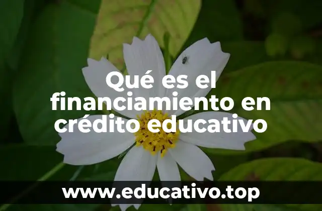Qué es el financiamiento en crédito educativo
