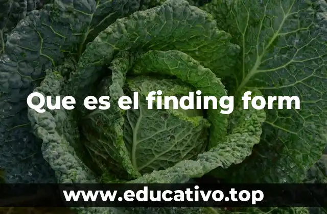 Que es el finding form