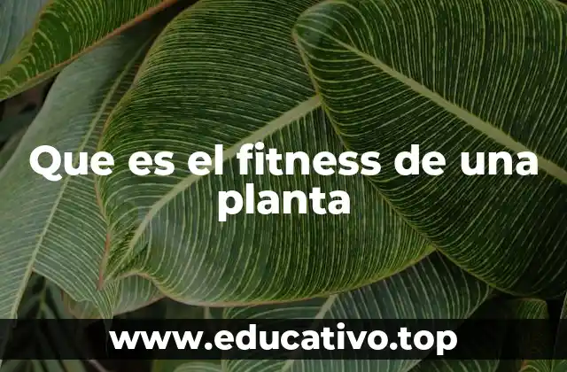 Que es el fitness de una planta