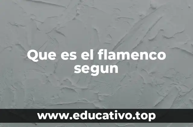 Que es el flamenco segun