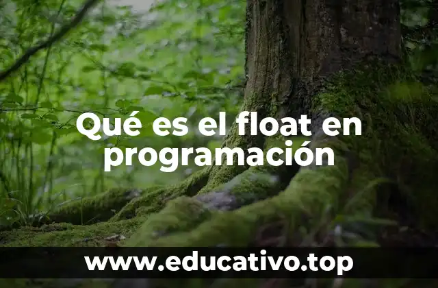 Características del tipo float