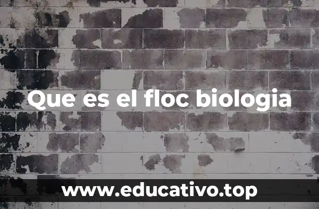 Que es el floc biologia