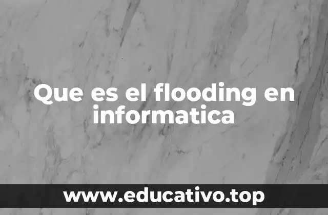 Que es el flooding en informatica