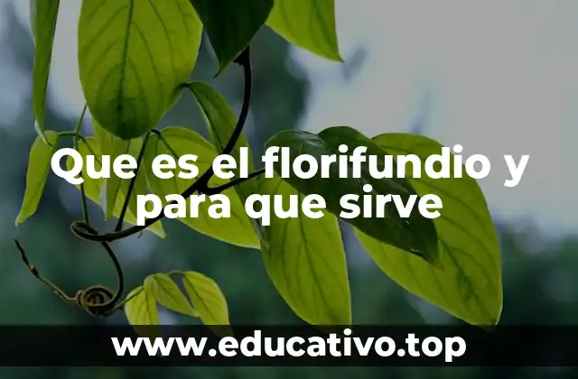 Que es el florifundio y para que sirve