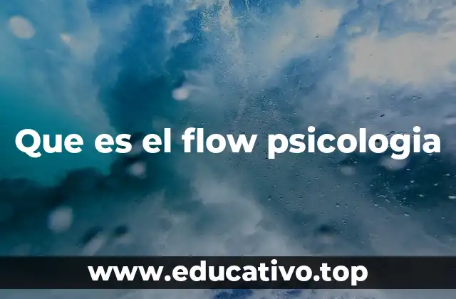 Que es el flow psicologia