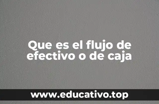 Que es el flujo de efectivo o de caja