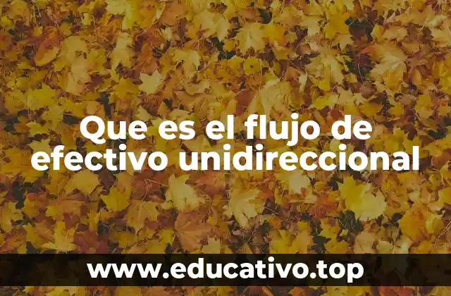 Que es el flujo de efectivo unidireccional