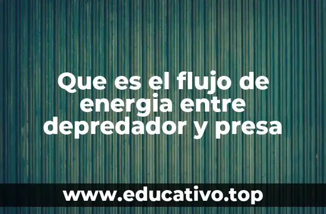Que es el flujo de energia entre depredador y presa