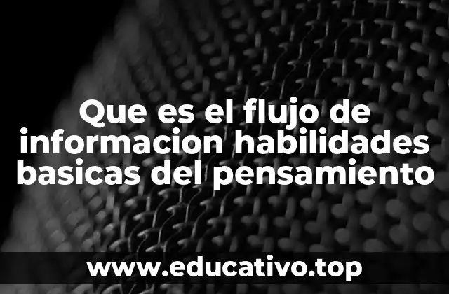 Que es el flujo de informacion habilidades basicas del pensamiento