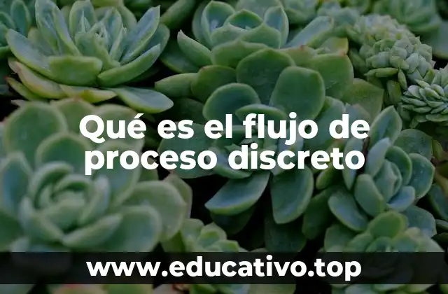 Qué es el flujo de proceso discreto