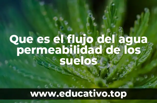 Que es el flujo del agua permeabilidad de los suelos