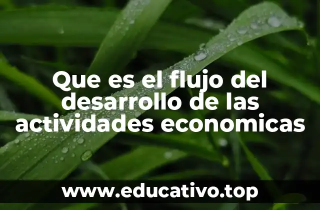 Que es el flujo del desarrollo de las actividades economicas