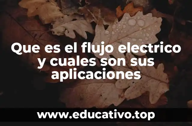 Que es el flujo electrico y cuales son sus aplicaciones