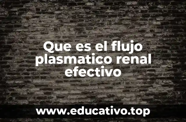 Que es el flujo plasmatico renal efectivo