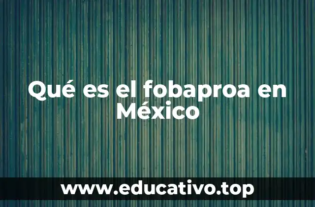 Qué es el fobaproa en México