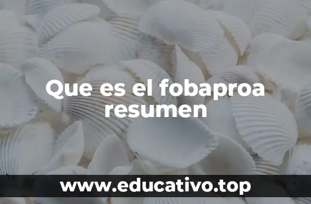 Que es el fobaproa resumen