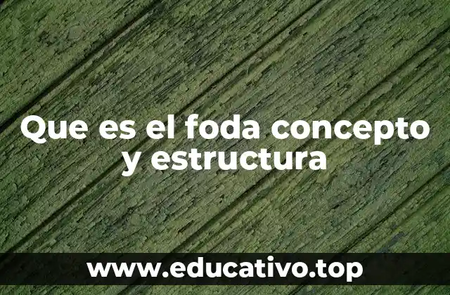 Que es el foda concepto y estructura