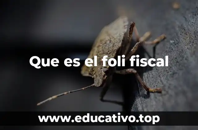 Que es el foli fiscal