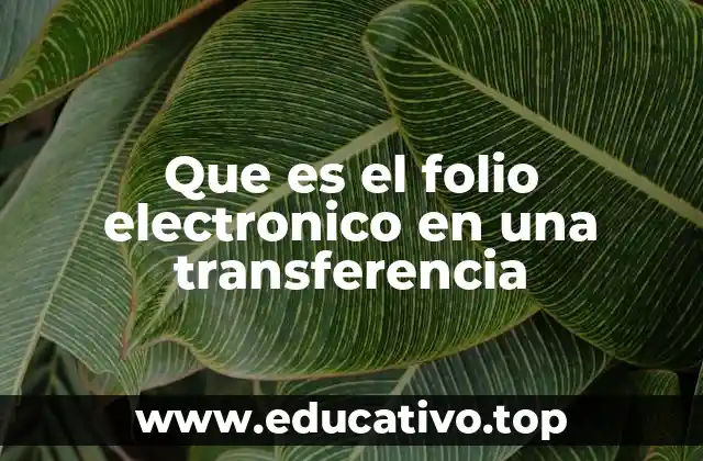 Que es el folio electronico en una transferencia