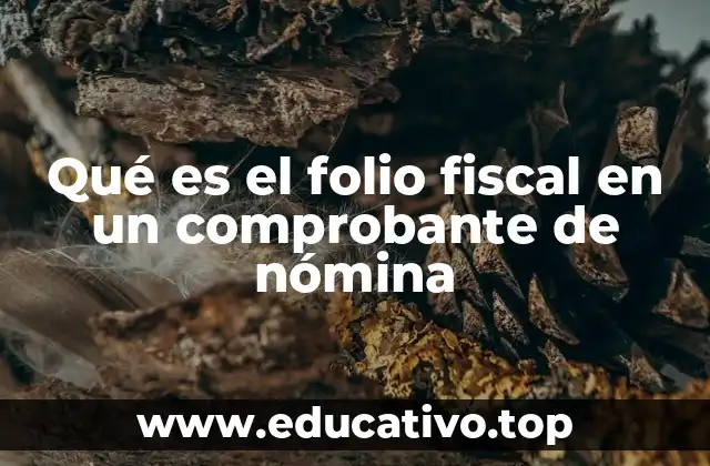 Qué es el folio fiscal en un comprobante de nómina