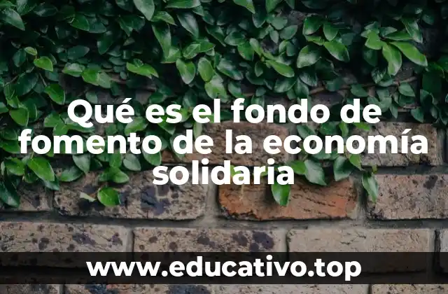 Qué es el fondo de fomento de la economía solidaria