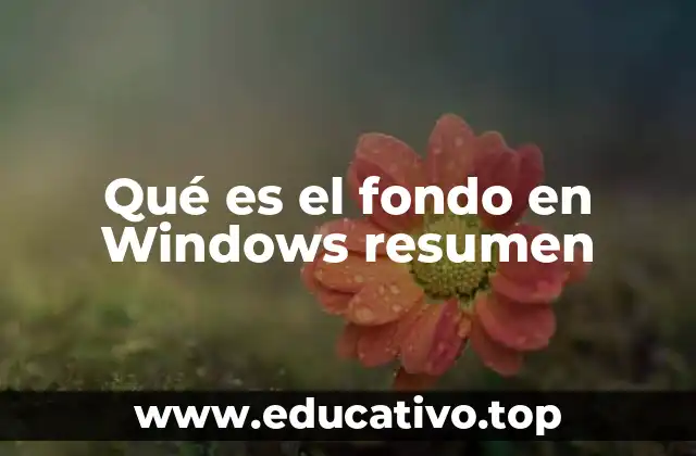 Qué es el fondo en Windows resumen