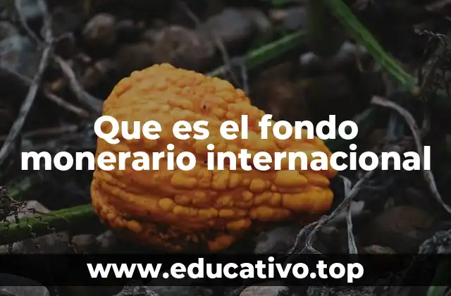 El papel del FMI en la estabilidad global